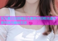 东北黄瓜视频精彩合集带你领略地道农家风味与趣味生活