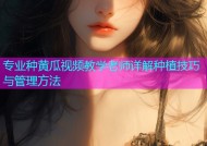 专业种黄瓜视频教学老师详解种植技巧与管理方法