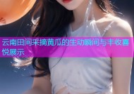 云南田间采摘黄瓜的生动瞬间与丰收喜悦展示