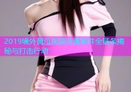 2019境外黄瓜视频涉黄案件全链条揭秘与打击行动