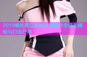 2019境外黄瓜视频涉黄案件全链条揭秘与打击行动