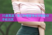35度高温下黄瓜种植管理全攻略助你丰收无忧