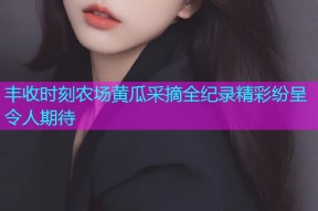 丰收时刻农场黄瓜采摘全纪录精彩纷呈令人期待
