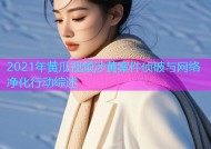 2021年黄瓜视频涉黄案件侦破与网络净化行动综述