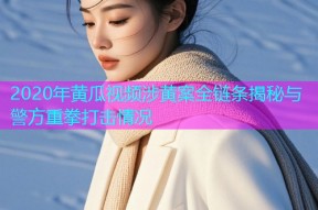 2020年黄瓜视频涉黄案全链条揭秘与警方重拳打击情况