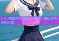 什么动物爱吃小黄瓜？萌宠大揭秘趣味视频分享