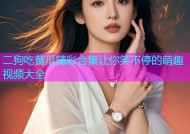 二狗吃黄瓜精彩合集让你笑不停的萌趣视频大全