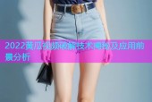 2022黄瓜视频破解技术揭秘及应用前景分析