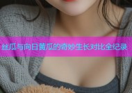 丝瓜与向日黄瓜的奇妙生长对比全纪录