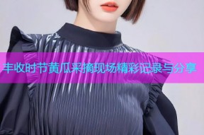 丰收时节黄瓜采摘现场精彩记录与分享
