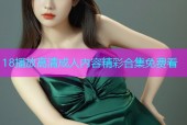 18播放高清成人内容精彩合集免费看
