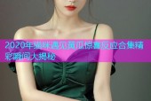 2020年猫咪遇见黄瓜惊喜反应合集精彩瞬间大揭秘