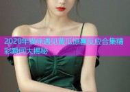 2020年猫咪遇见黄瓜惊喜反应合集精彩瞬间大揭秘