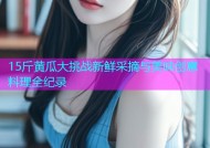 15斤黄瓜大挑战新鲜采摘与美味创意料理全纪录