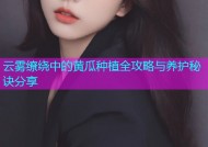 云雾缭绕中的黄瓜种植全攻略与养护秘诀分享