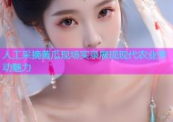 人工采摘黄瓜现场实录展现现代农业劳动魅力