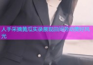 人手采摘黄瓜实录展现田间劳动美好风光