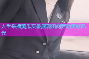 人手采摘黄瓜实录展现田间劳动美好风光