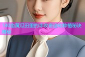 180亩黄瓜田里的丰收奇迹和种植秘诀揭秘