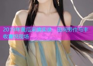 2019年黄瓜采摘实录：田间劳作与丰收喜悦现场