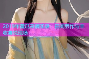 2019年黄瓜采摘实录：田间劳作与丰收喜悦现场