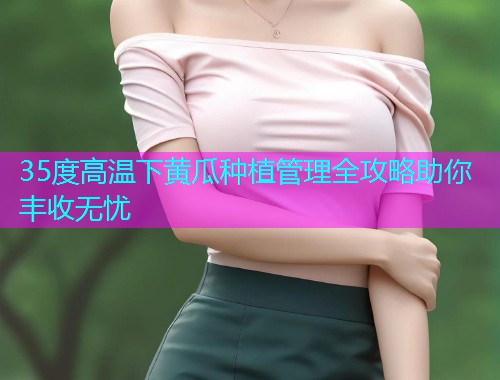 35度高温下黄瓜种植管理全攻略助你丰收无忧  第1张