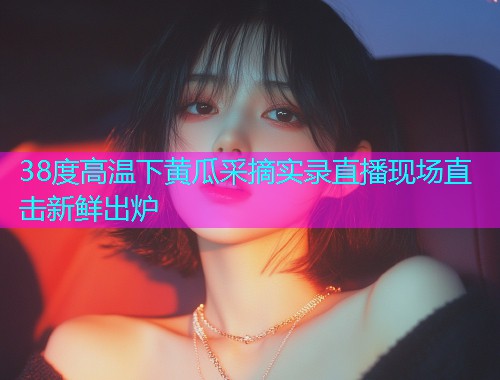38度高温下黄瓜采摘实录直播现场直击新鲜出炉  第1张