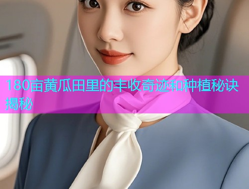 180亩黄瓜田里的丰收奇迹和种植秘诀揭秘  第1张