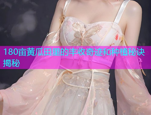 180亩黄瓜田里的丰收奇迹和种植秘诀揭秘  第2张