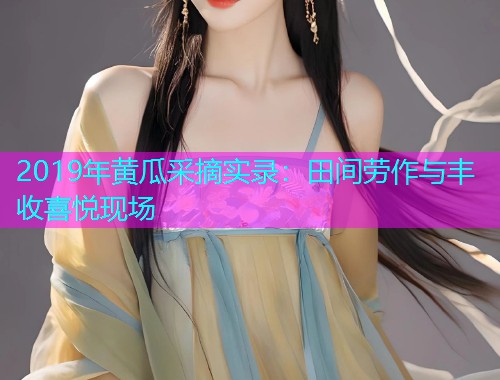 2019年黄瓜采摘实录：田间劳作与丰收喜悦现场  第1张
