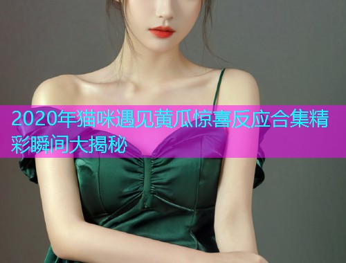 2020年猫咪遇见黄瓜惊喜反应合集精彩瞬间大揭秘  第1张