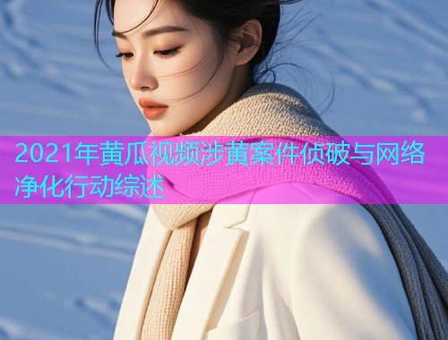 2021年黄瓜视频涉黄案件侦破与网络净化行动综述  第1张