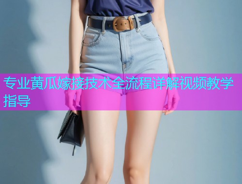专业黄瓜嫁接技术全流程详解视频教学指导  第1张