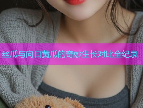 丝瓜与向日黄瓜的奇妙生长对比全纪录  第1张