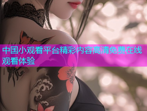 中国小观看平台精彩内容高清免费在线观看体验  第1张