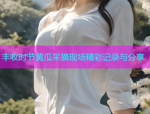 丰收时节黄瓜采摘现场精彩记录与分享  第2张