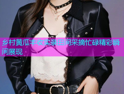 乡村黄瓜丰收实录田间采摘忙碌精彩瞬间展现  第2张