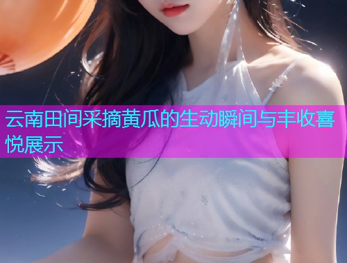 云南田间采摘黄瓜的生动瞬间与丰收喜悦展示  第1张