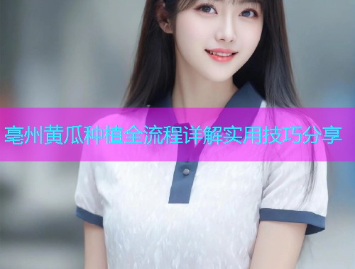 亳州黄瓜种植全流程详解实用技巧分享  第2张