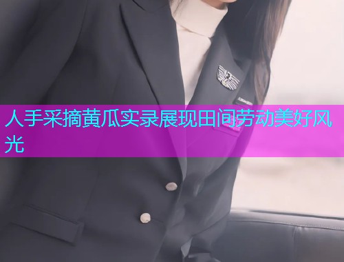 人手采摘黄瓜实录展现田间劳动美好风光  第1张