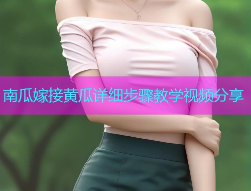 南瓜嫁接黄瓜详细步骤教学视频分享  第1张