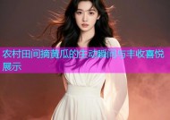 农村田间摘黄瓜的生动瞬间与丰收喜悦展示