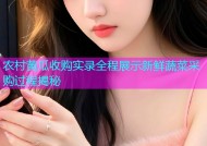 农村黄瓜收购实录全程展示新鲜蔬菜采购过程揭秘