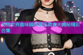 动物世界趣味瞬间黄瓜美食大揭秘精彩合集