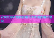 农民忙碌收割新鲜黄瓜丰收画面精彩呈现