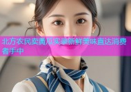 北方农民卖黄瓜实录新鲜美味直达消费者手中