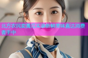 北方农民卖黄瓜实录新鲜美味直达消费者手中