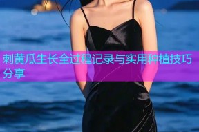 刺黄瓜生长全过程记录与实用种植技巧分享