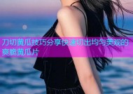 刀切黄瓜技巧分享快速切出均匀美观的爽脆黄瓜片