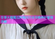 冬季大棚黄瓜种植技巧全攻略养护管理详解